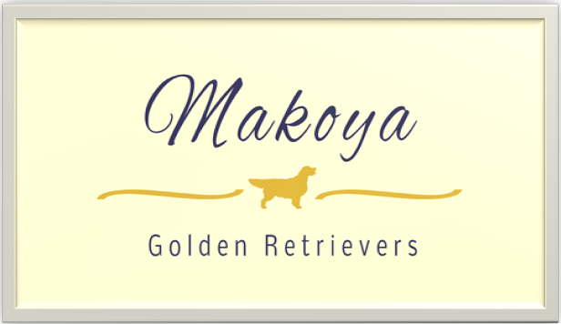 Makoya Golden Retrievers